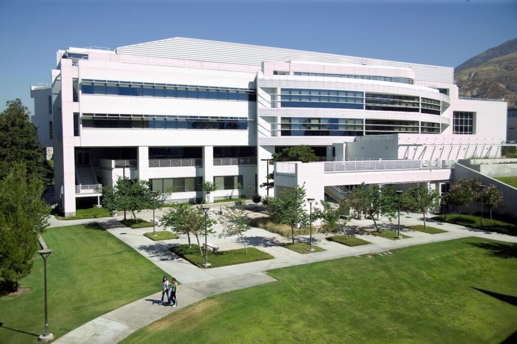 CSUSB Social Work Programs CSUSB Social Work Programs