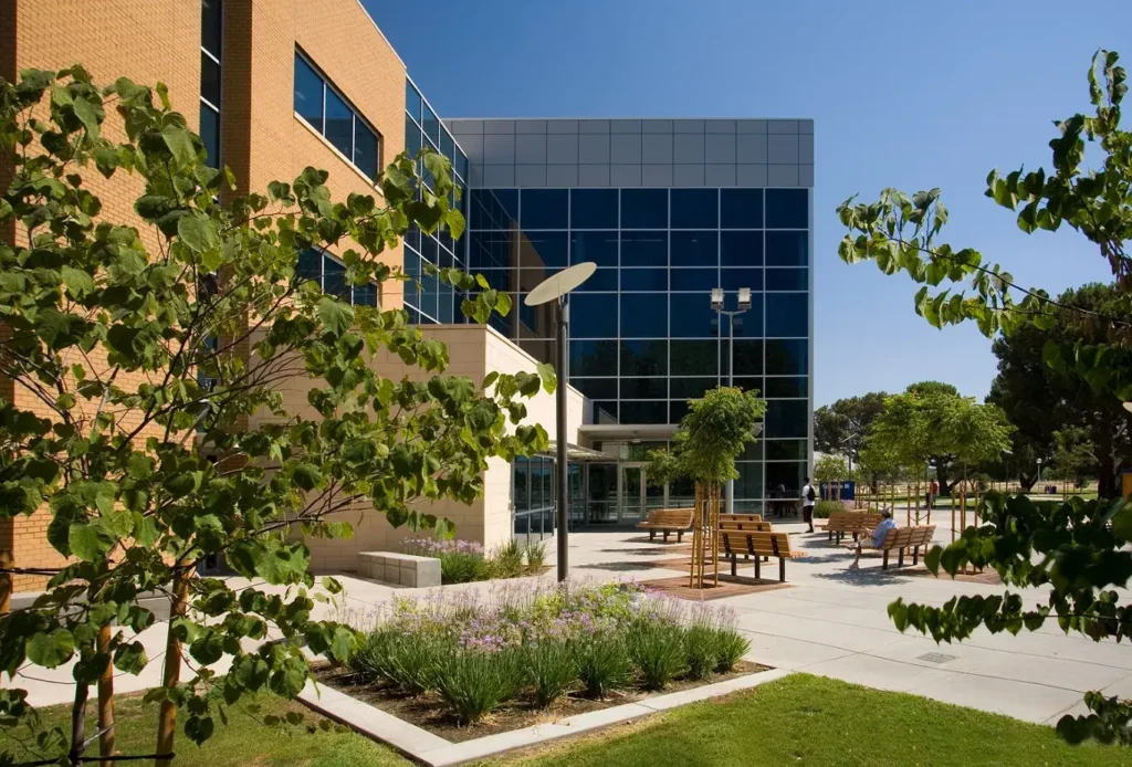 California State University Bakersfield Social Work Degrees California State University Bakersfield Social Work Degrees