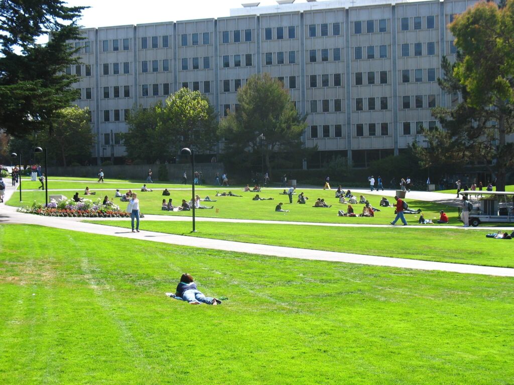 San Francisco State University Social Work Programs San Francisco State University Social Work Programs
