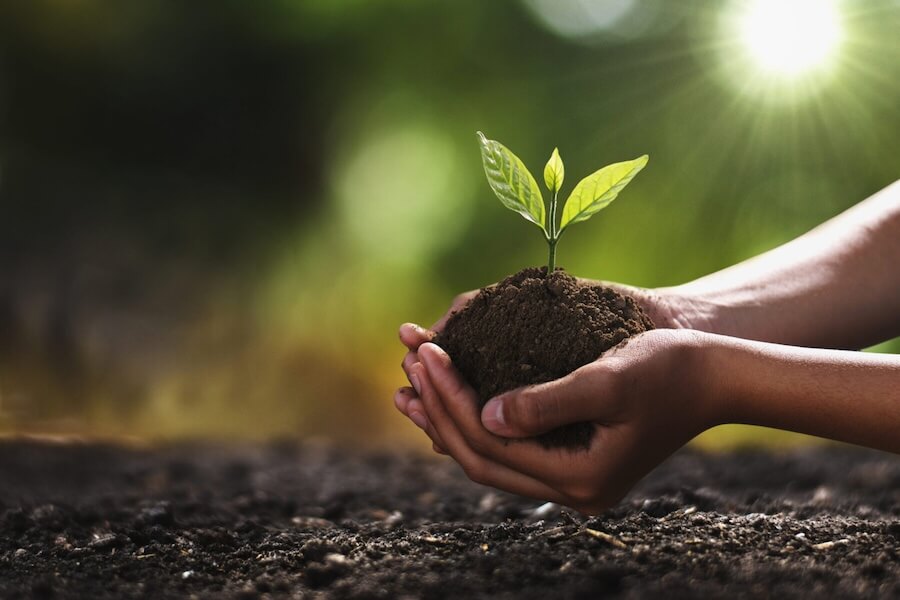 How to Become an Environmental Social Worker in California